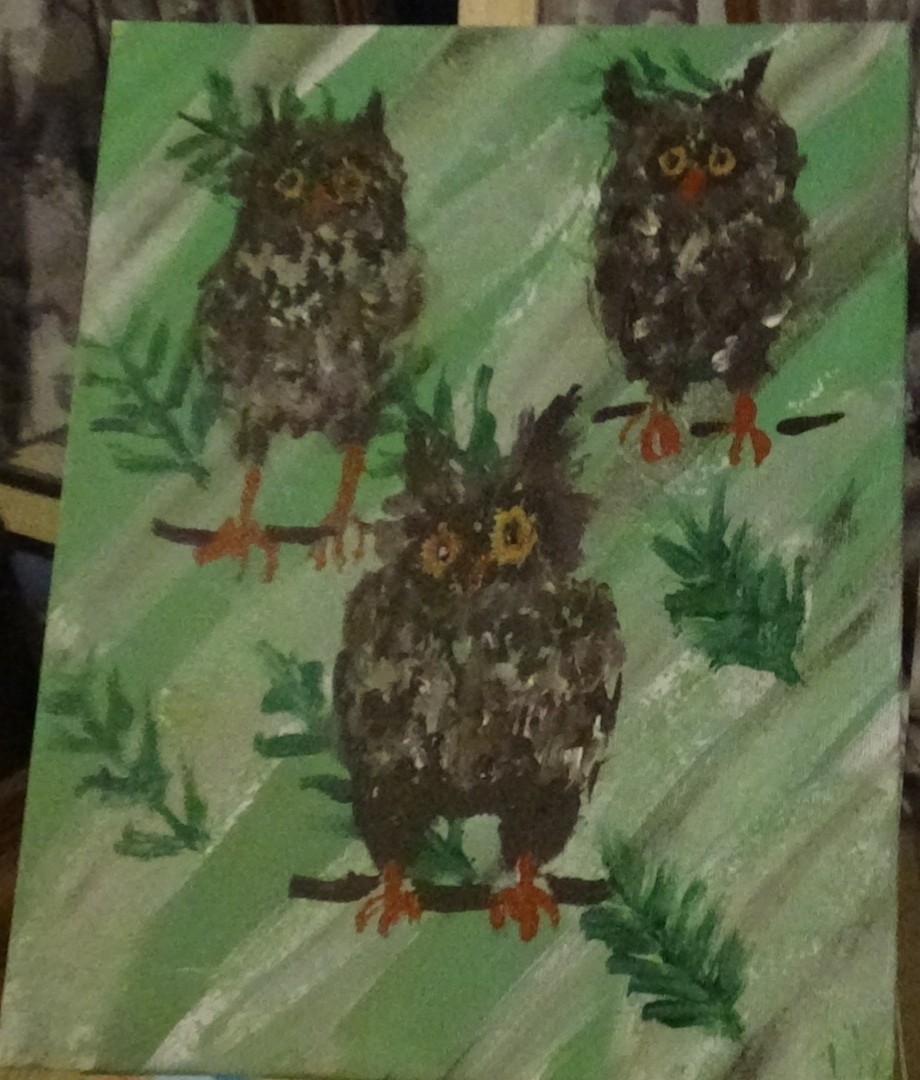 Owls